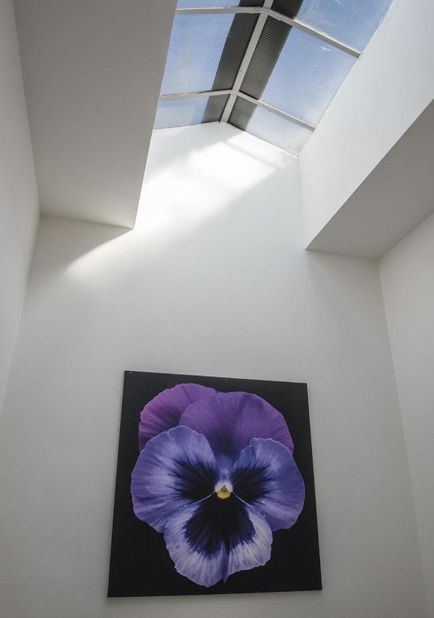 Le Stanze Dei Fiori Hotel Bologna Luaran gambar